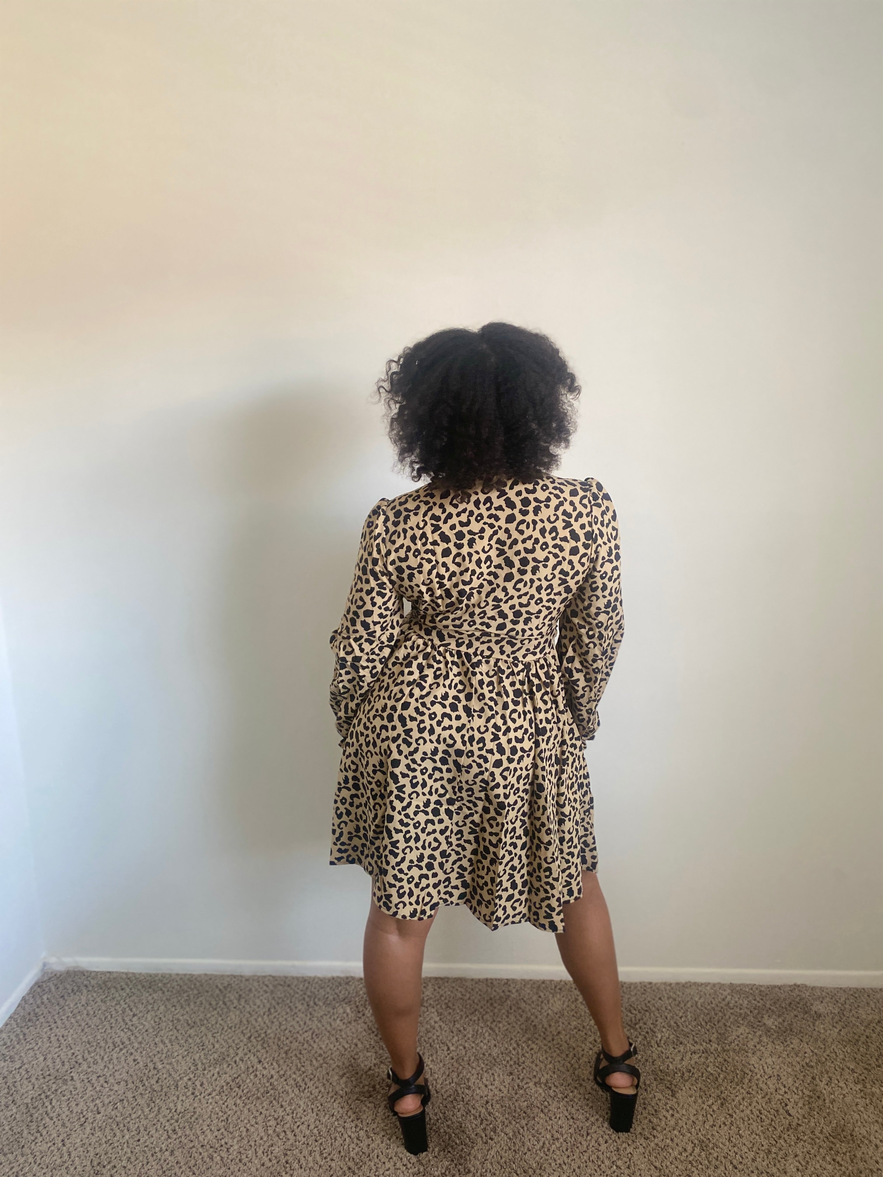 Wild Safari Dress