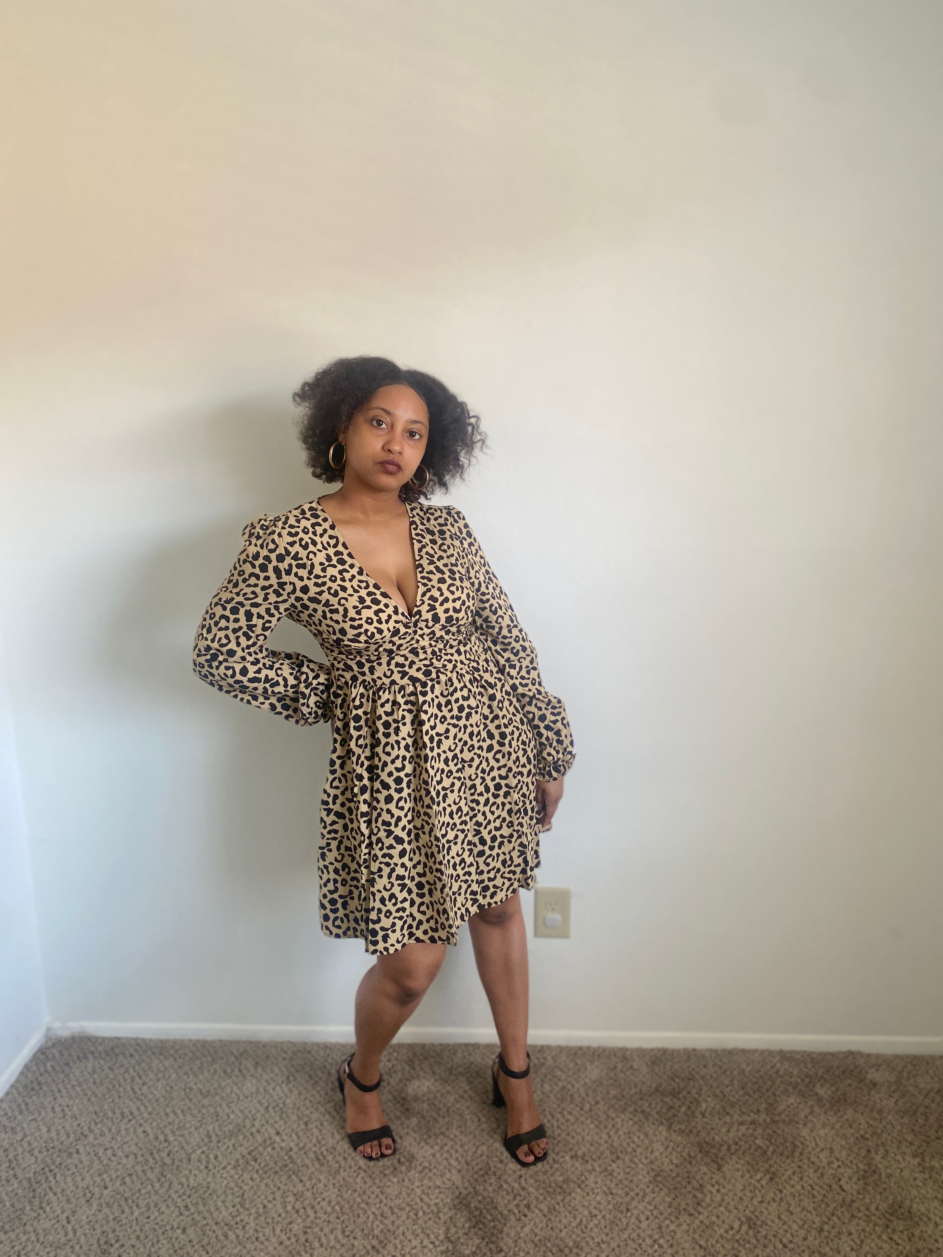 Wild Safari Dress