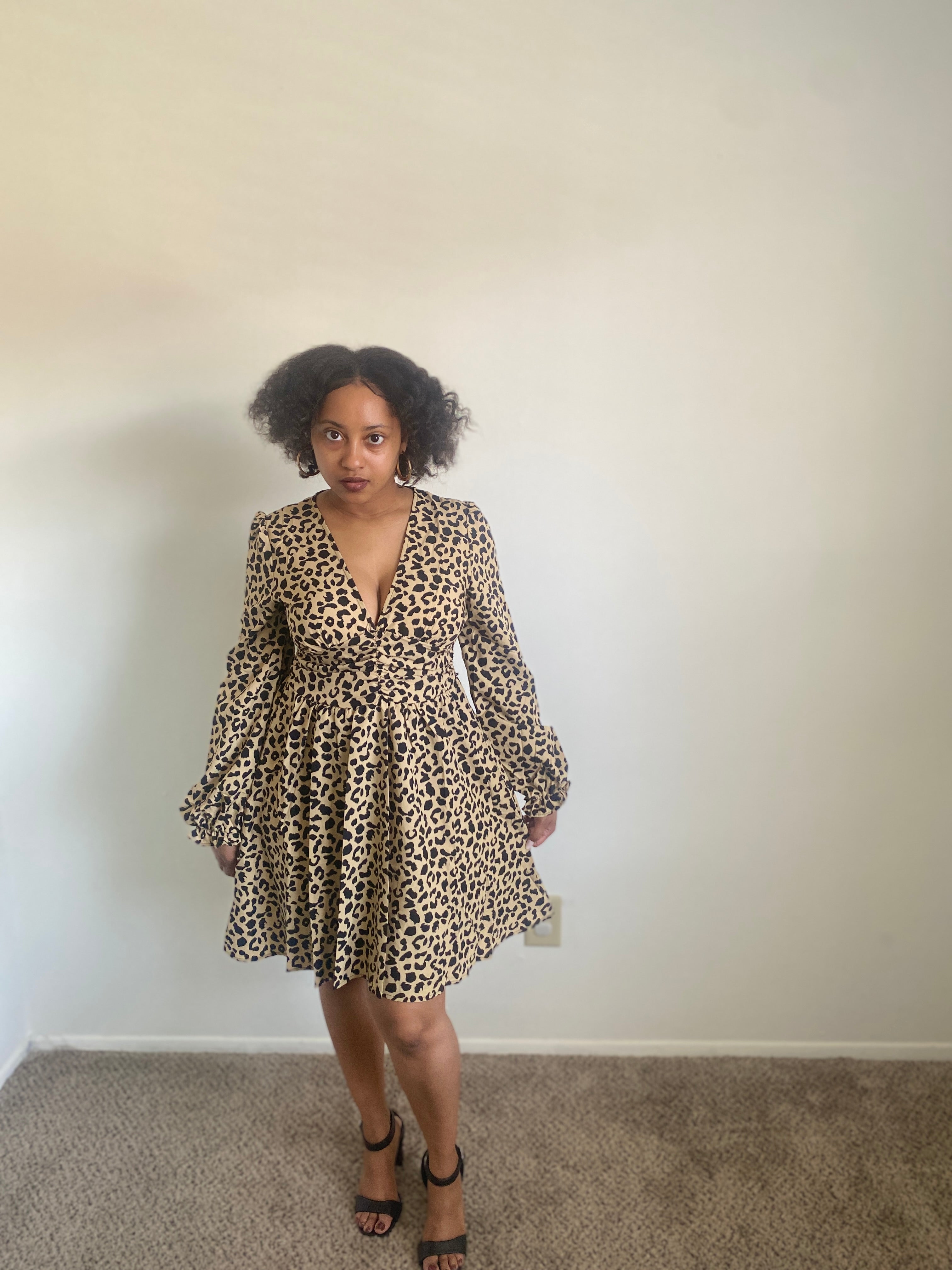 Wild Safari Dress