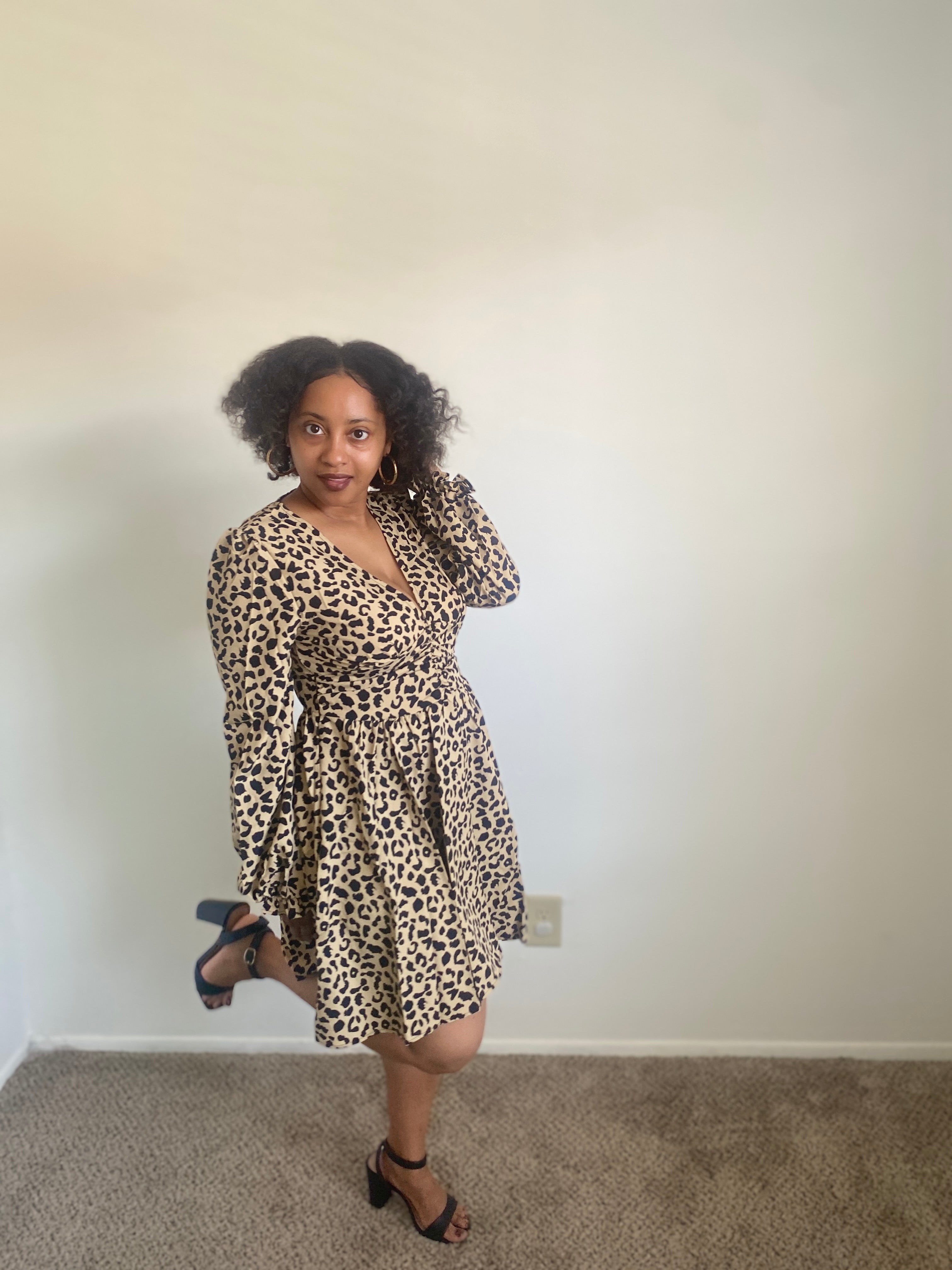 Wild Safari Dress